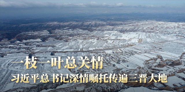 牢记嘱托真抓实干 砥砺奋进谱写新篇——习近平总书记春节前夕在我省看望慰问基层干部群众引起热烈反响