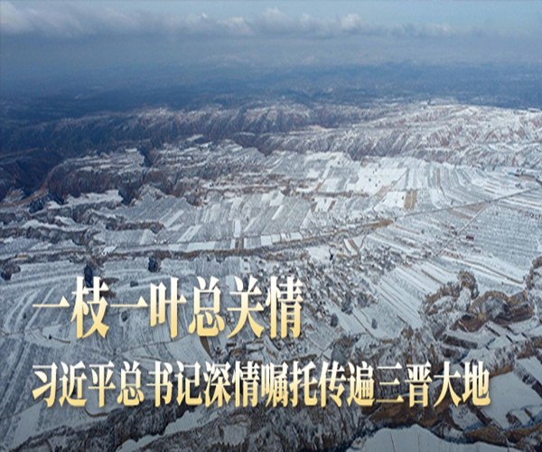 【本地要闻】聚力谋新篇 实干启新程 ——习近平总书记春节前夕看望慰问我省基层干部群众在我区引起热烈反响