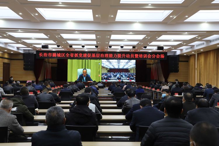我区组织收听收看全省抓党建促基层治理能力提升动员暨培训电视电话会议