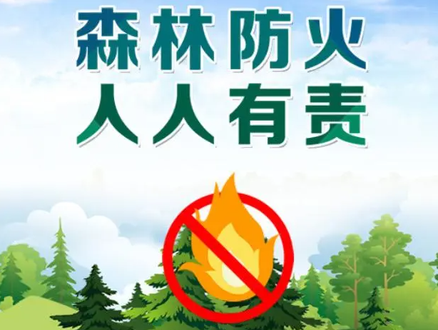 【海报】关于森林防火，哪些事绝对不能做？
