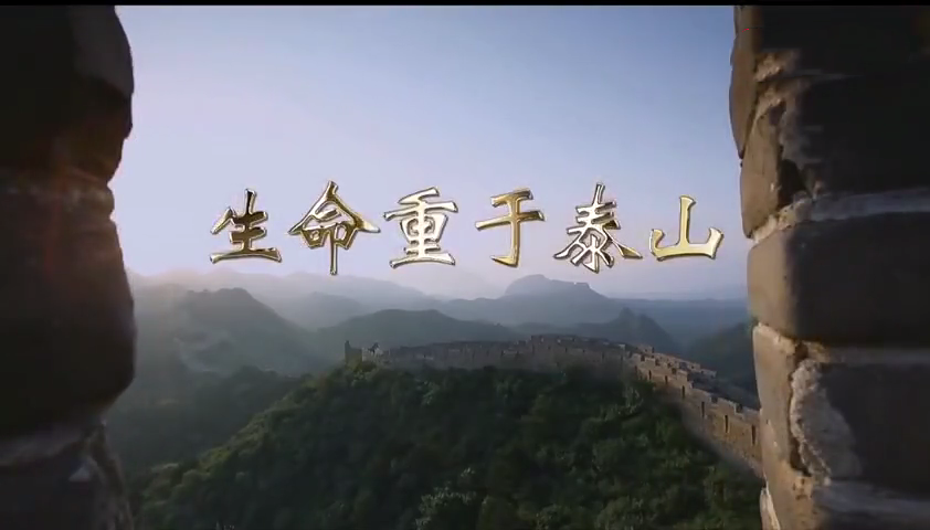 电视专题片 | 《生命重于泰山》（解读版）