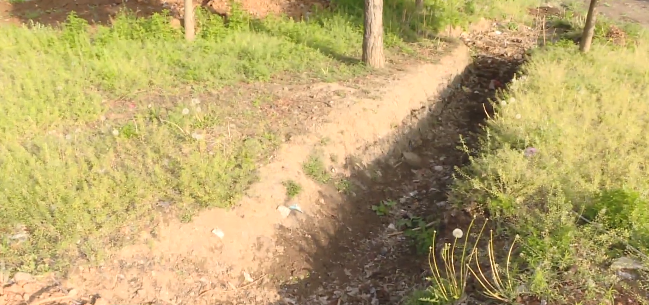 曝光台：垃圾“围城”惹人忧 