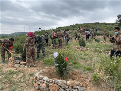 植树添新绿 不负好时光