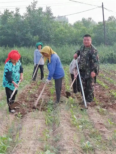 守住土地根 甘做新农人 ——记区二届人大代表张爱国