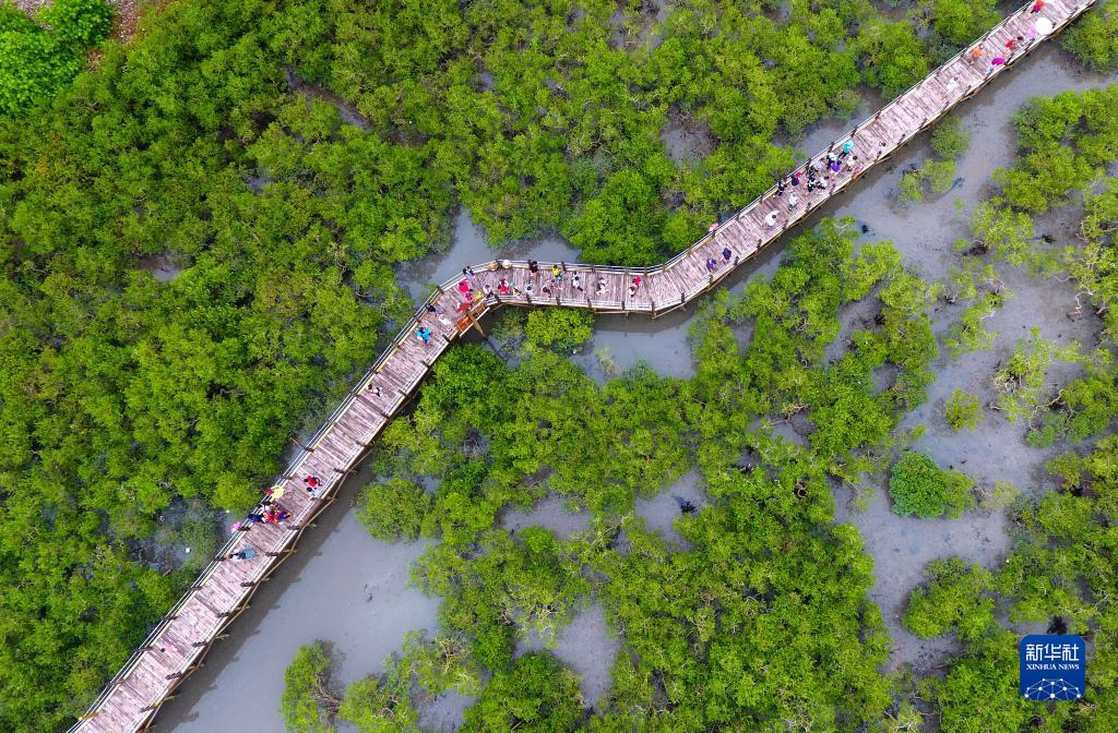 八桂大地唱响奋进歌——沿着总书记的足迹之广西篇