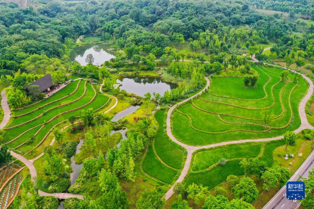 巴山渝水奏响奋进曲——沿着总书记的足迹之重庆篇