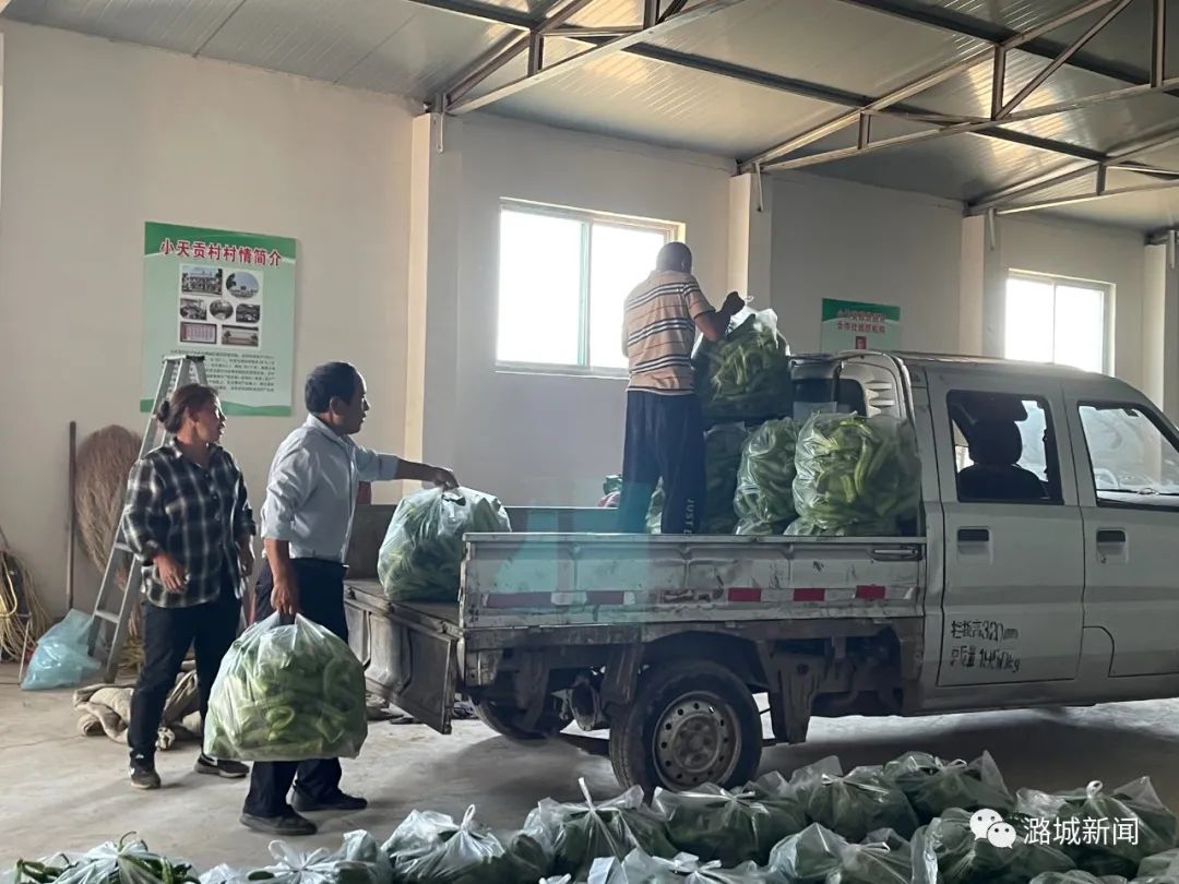 小天贡村：党建引领发展路