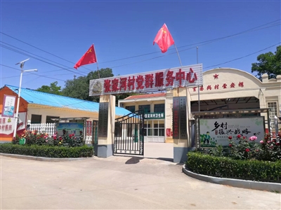 张家河：“生态大葱”富乡亲