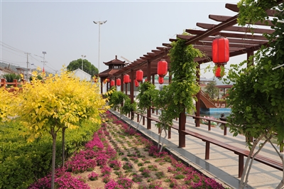 西流南村：“颜值”蝶变美如画