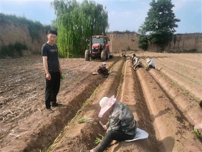 孙伟：大葱种植创特色 政协委员履新职