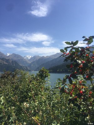 【听见 · 你的声音】梦牵家乡那座山