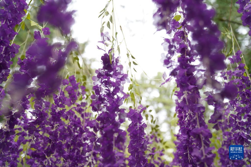 奋力书写黑土地高质量发展新答卷——沿着总书记的足迹之黑龙江篇