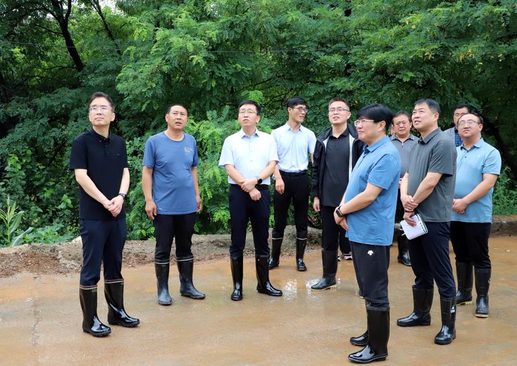 段尧刚检查指导防汛工作