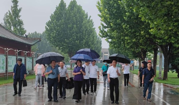 张丽芳带队在我区进行专题调研