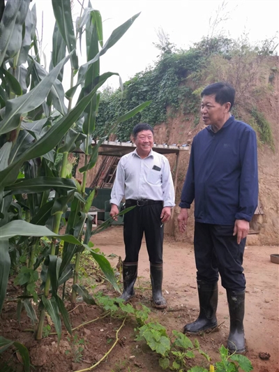 老李的试验田丰收了