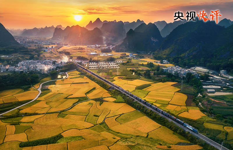 【央视快评】在党的旗帜下团结成“一块坚硬的钢铁”