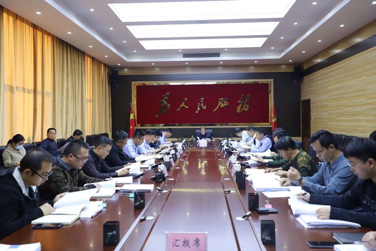 区政府召开2022年第13次常务会议