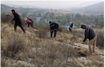 林下经济“添绿成金”