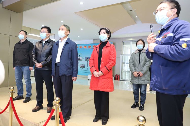 赵东辉带队在我区进行调研