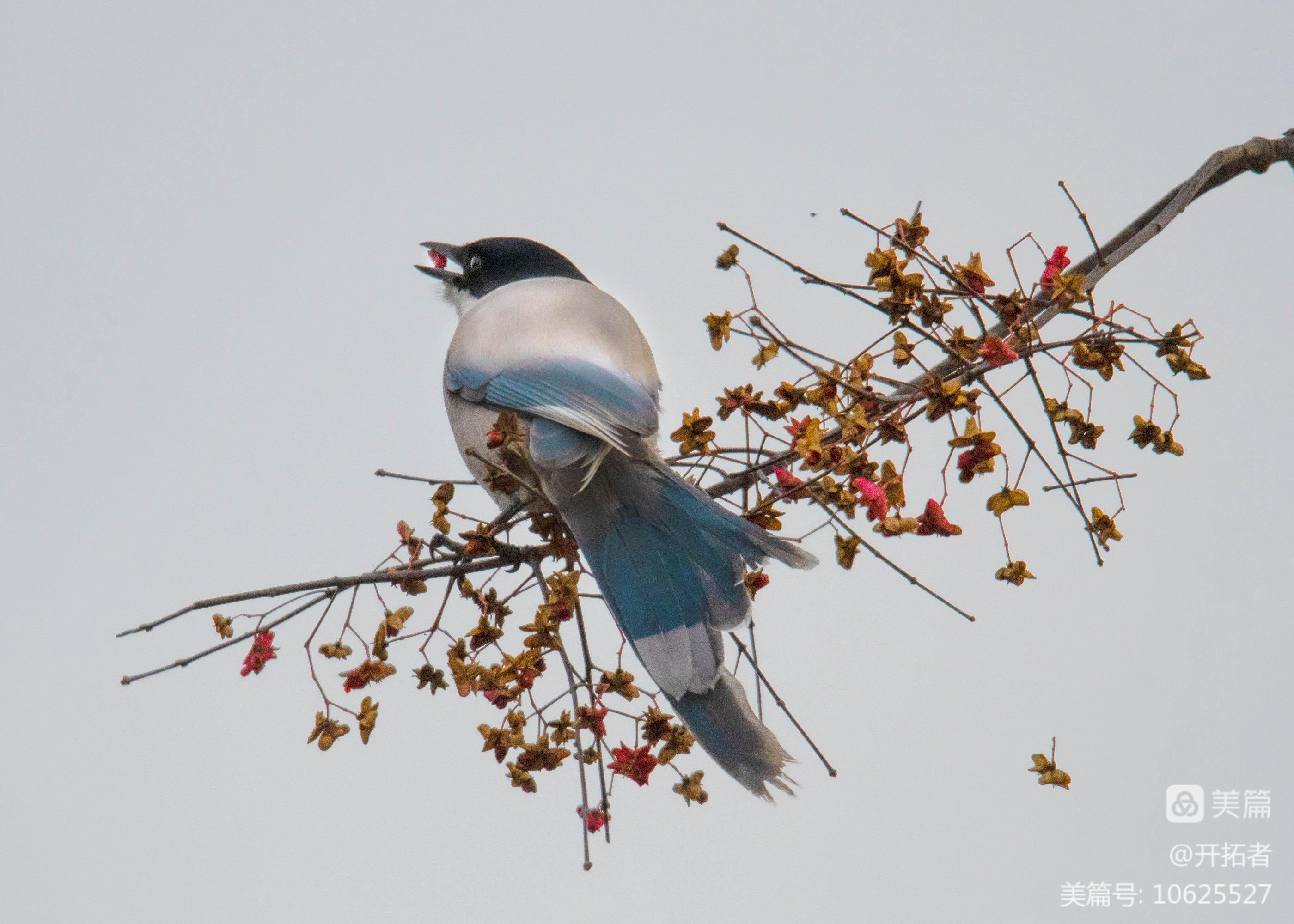 d089a162bf1f05a6520a9c553e7c1bb.jpg d089a162bf1f05a6520a9c553e7c1bb.jpg