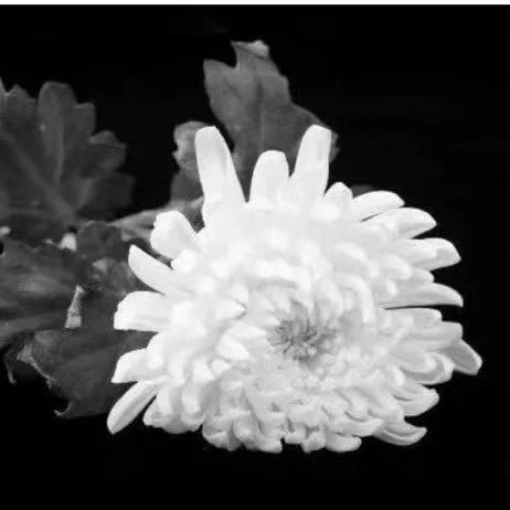 江泽民同志生平照片（一）