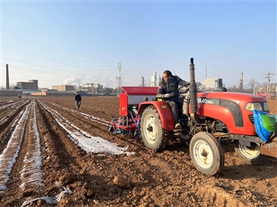 播下希望的种子