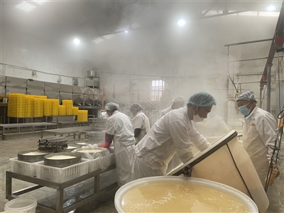 【新春走基层】“豆腐村”里年味浓