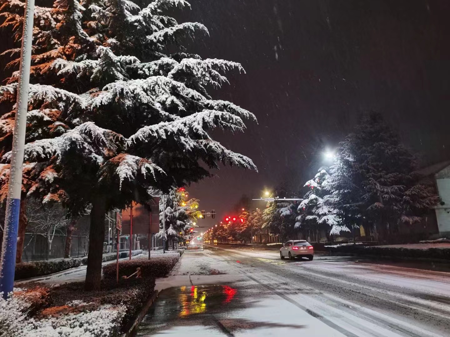 3873ce018274b3c5ef5b69724532203.jpg 3873ce018274b3c5ef5b69724532203.jpg