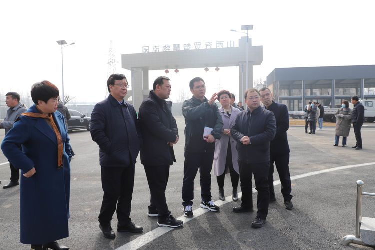 何安华带队在我区进行调研