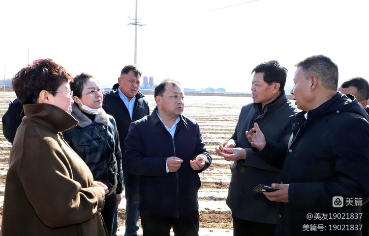 柴哲调研我区农业产业发展工作