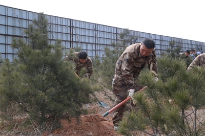 植树造林正当时 齐心协力添新绿