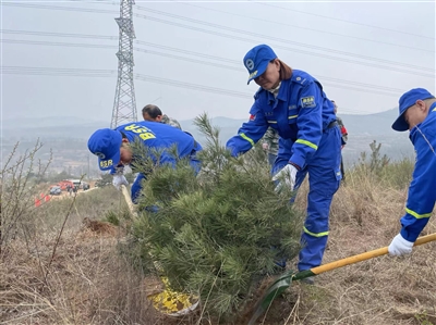 植下一片绿 美化我家园
