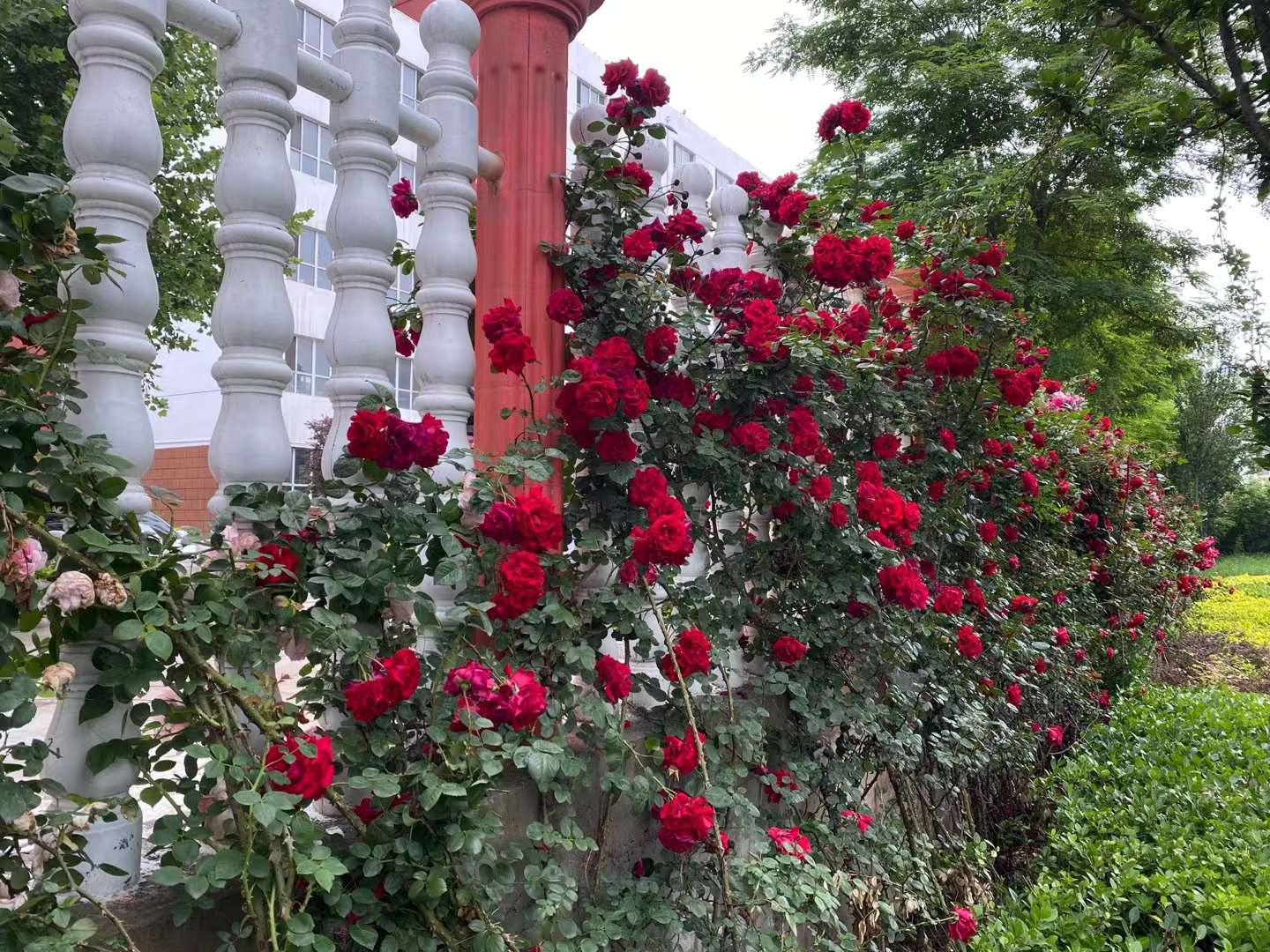 c5720fef40c320de7433bad5465dff9f.jpg c5720fef40c320de7433bad5465dff9f.jpg