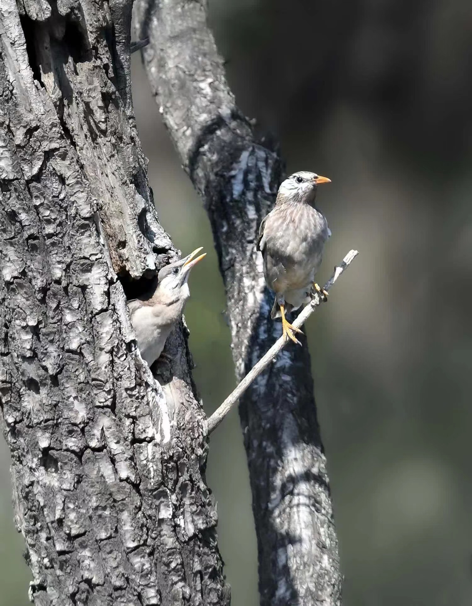 45db65ea8c2c6b0e00ea6ccb6c30d24.jpg 45db65ea8c2c6b0e00ea6ccb6c30d24.jpg