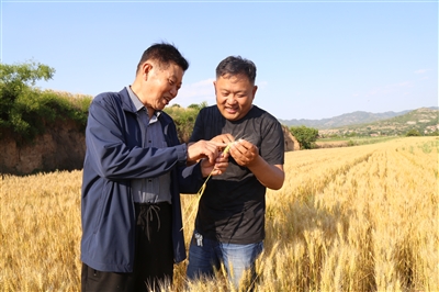 将试验进行到底 把饭碗端在手中