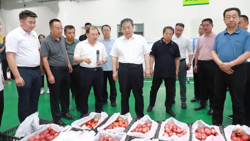 梁志勇带队在我区观摩指导乡村e镇工作