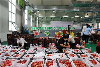 培育打造乡村e镇