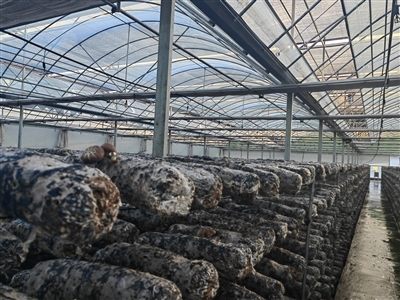 潞华街道： 学习他山项目建设之石 攻己发展集体经济之玉