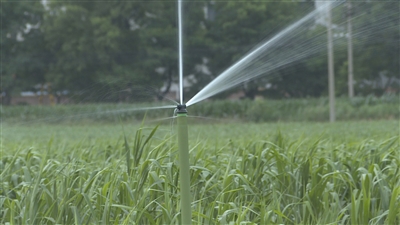 科技到田间 “粮田”变“良田”