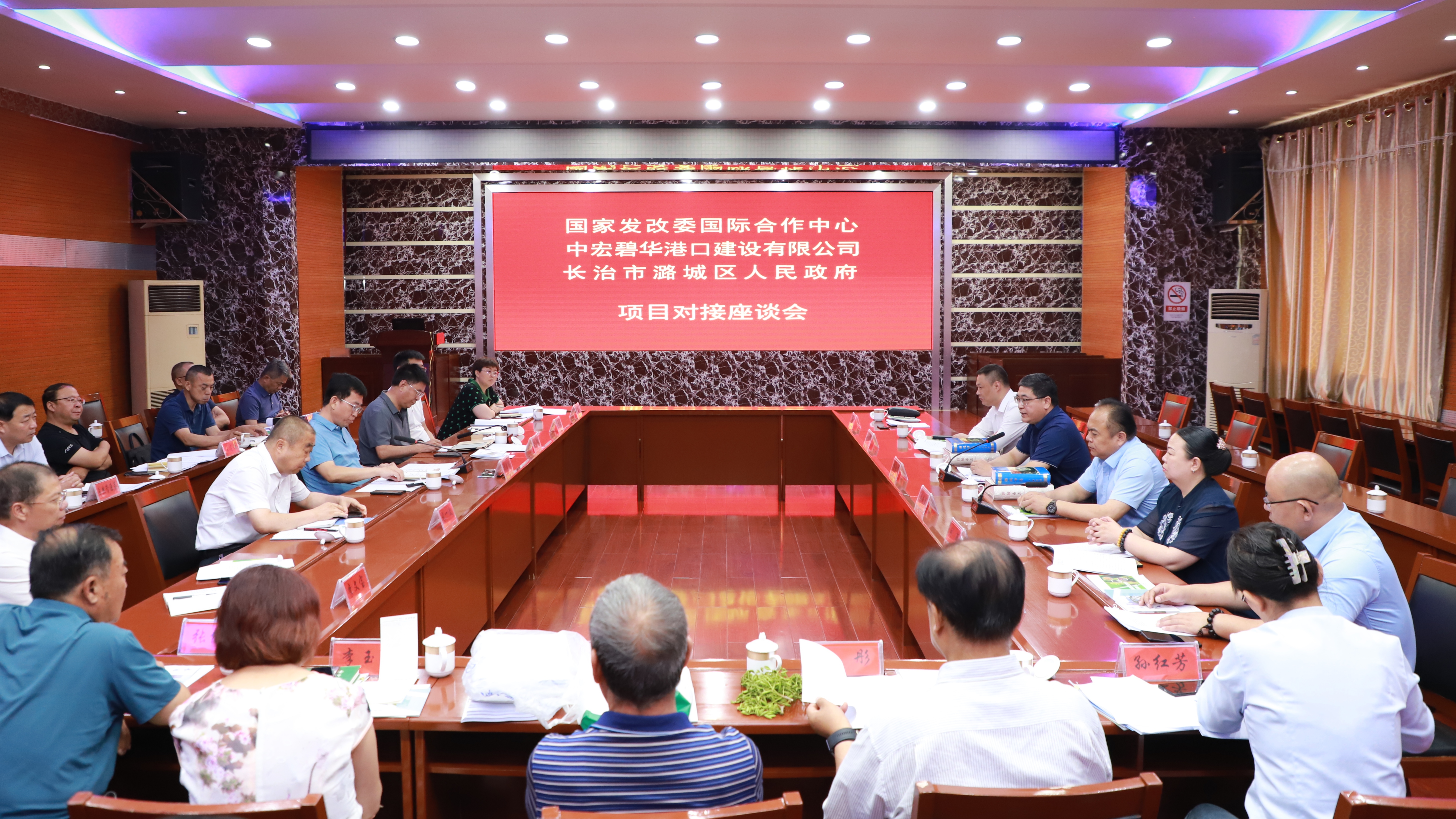 我区与国家发改委国际合作中心、中宏碧华港口建设有限公司举行项目对接座谈会