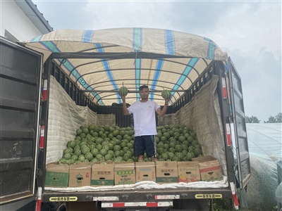 翟店街道小天贡村： 西瓜甜蜜蜜 生活节节高