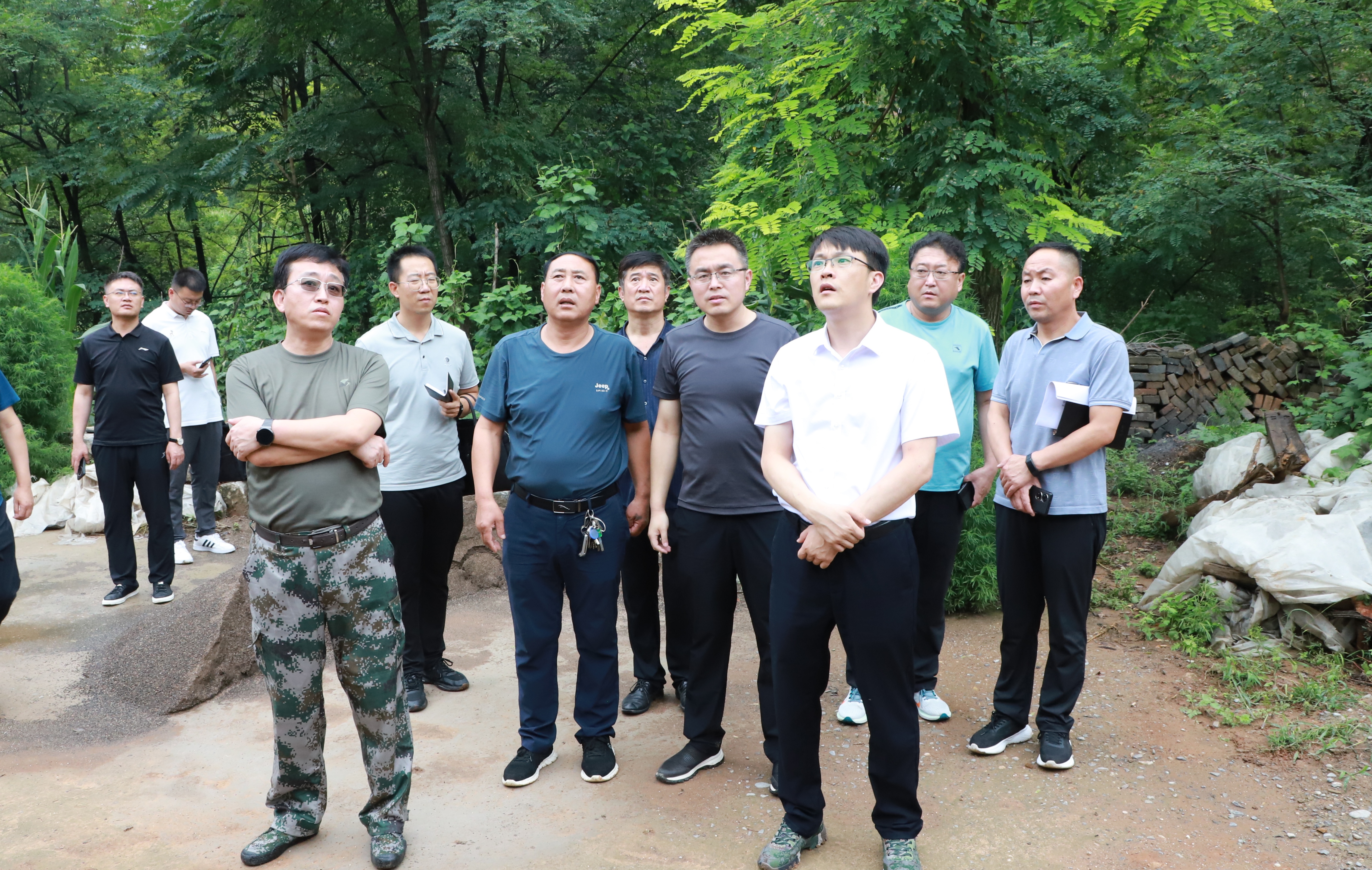 黄国珍在我区调研