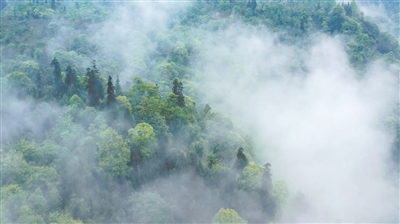 山青水净富村民