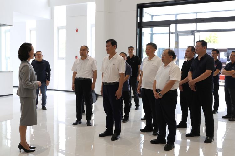 陈向阳在我区调研食品安全生产情况