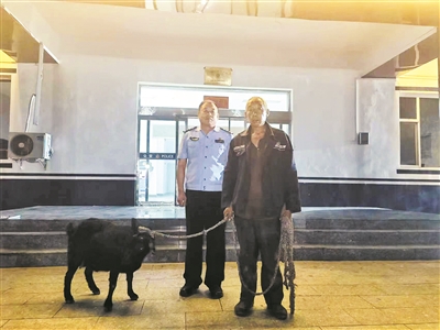 史回派出所：待产山羊找到家