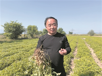 续村：花生铺出“振兴路”