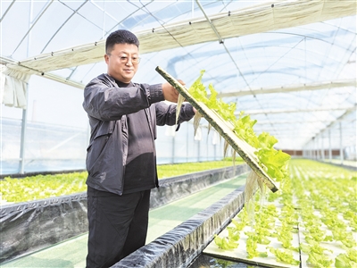 大棚里“刮”起“混搭风”