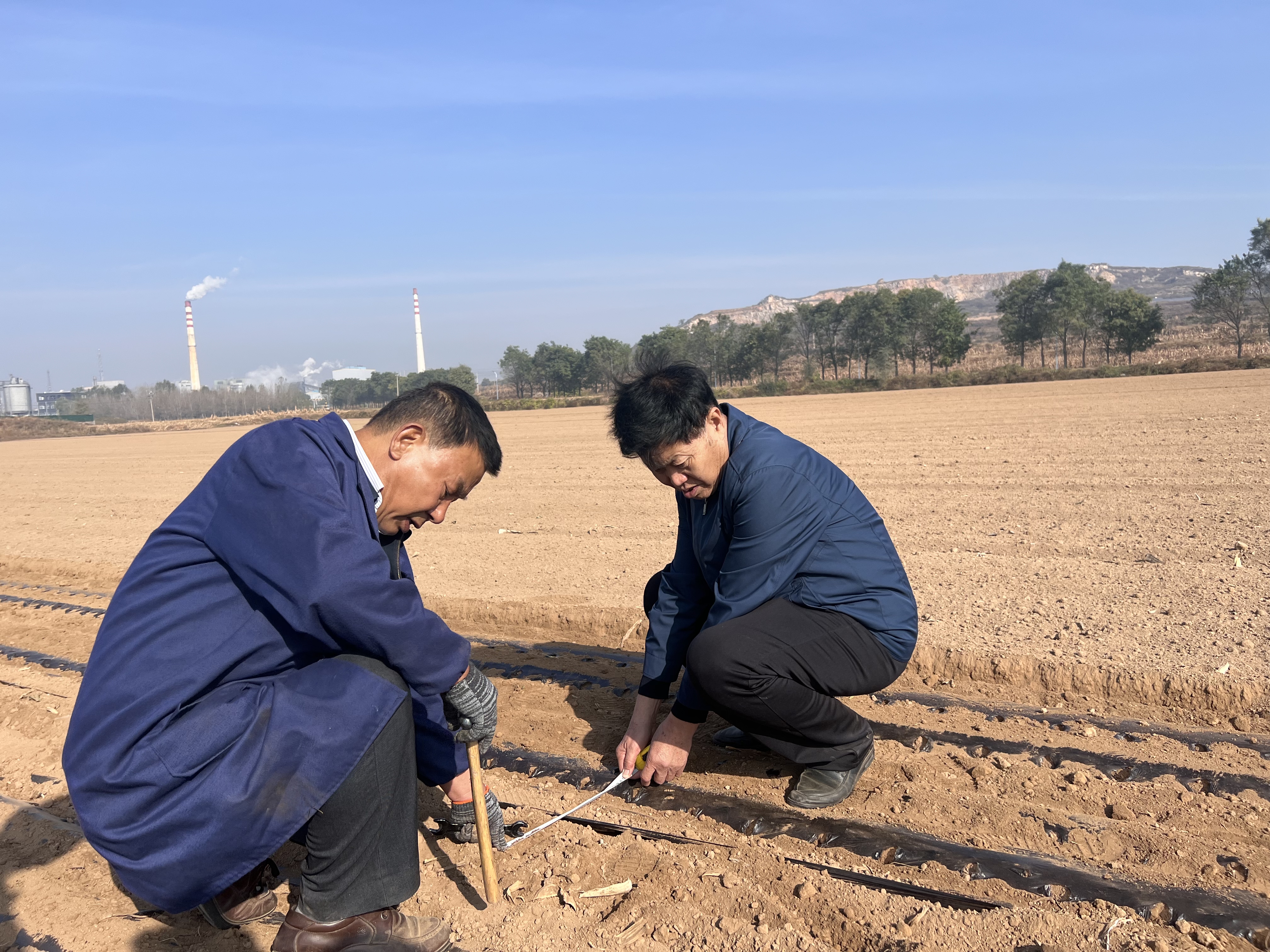 “麦”向致富路