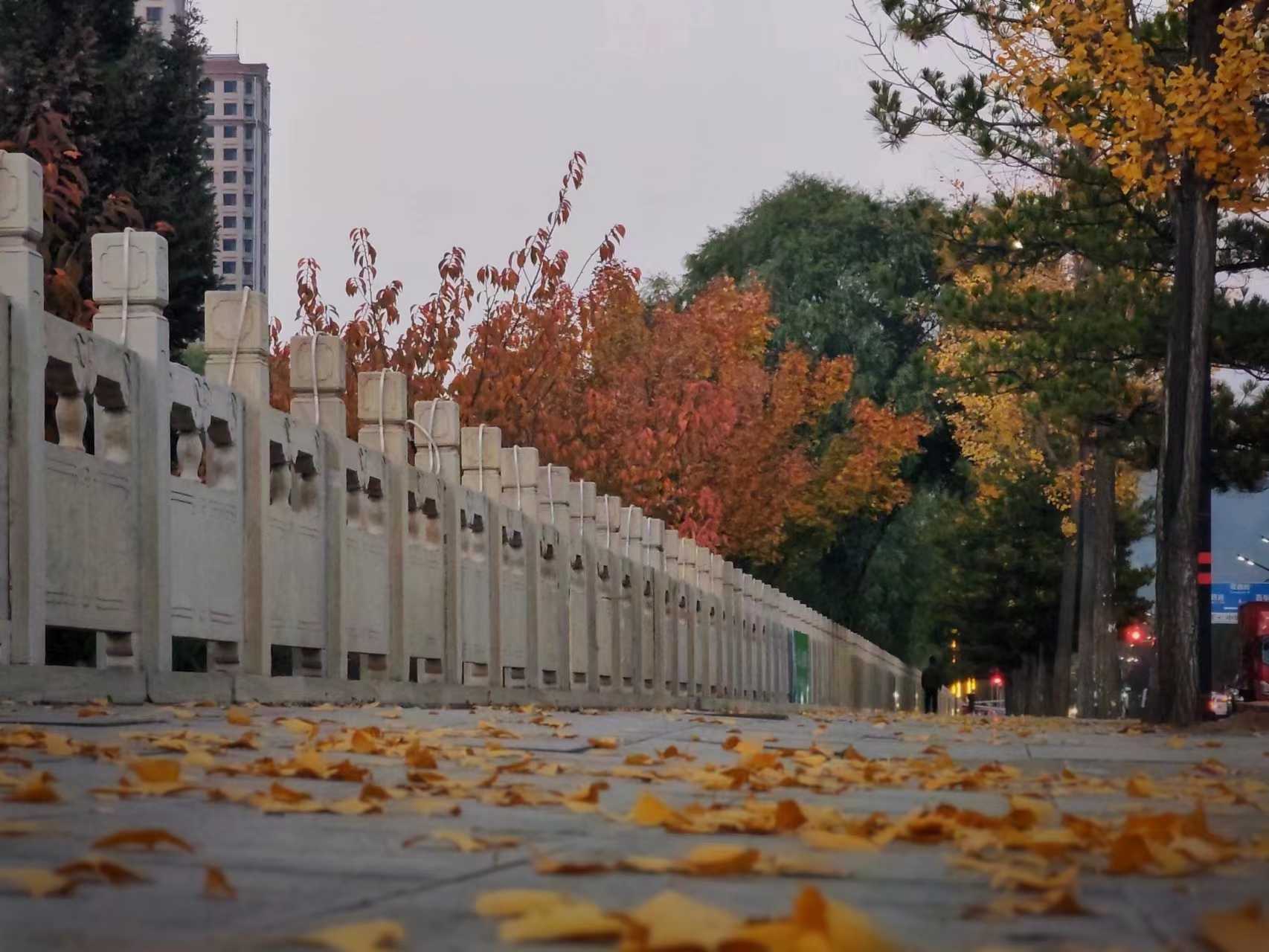 ab002cb3bf62cbe0fe9a6a3908f729f.jpg ab002cb3bf62cbe0fe9a6a3908f729f.jpg