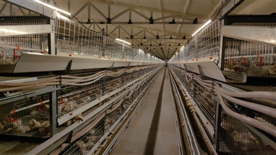 黄牛蹄乡： 项目建设按下“快进键”